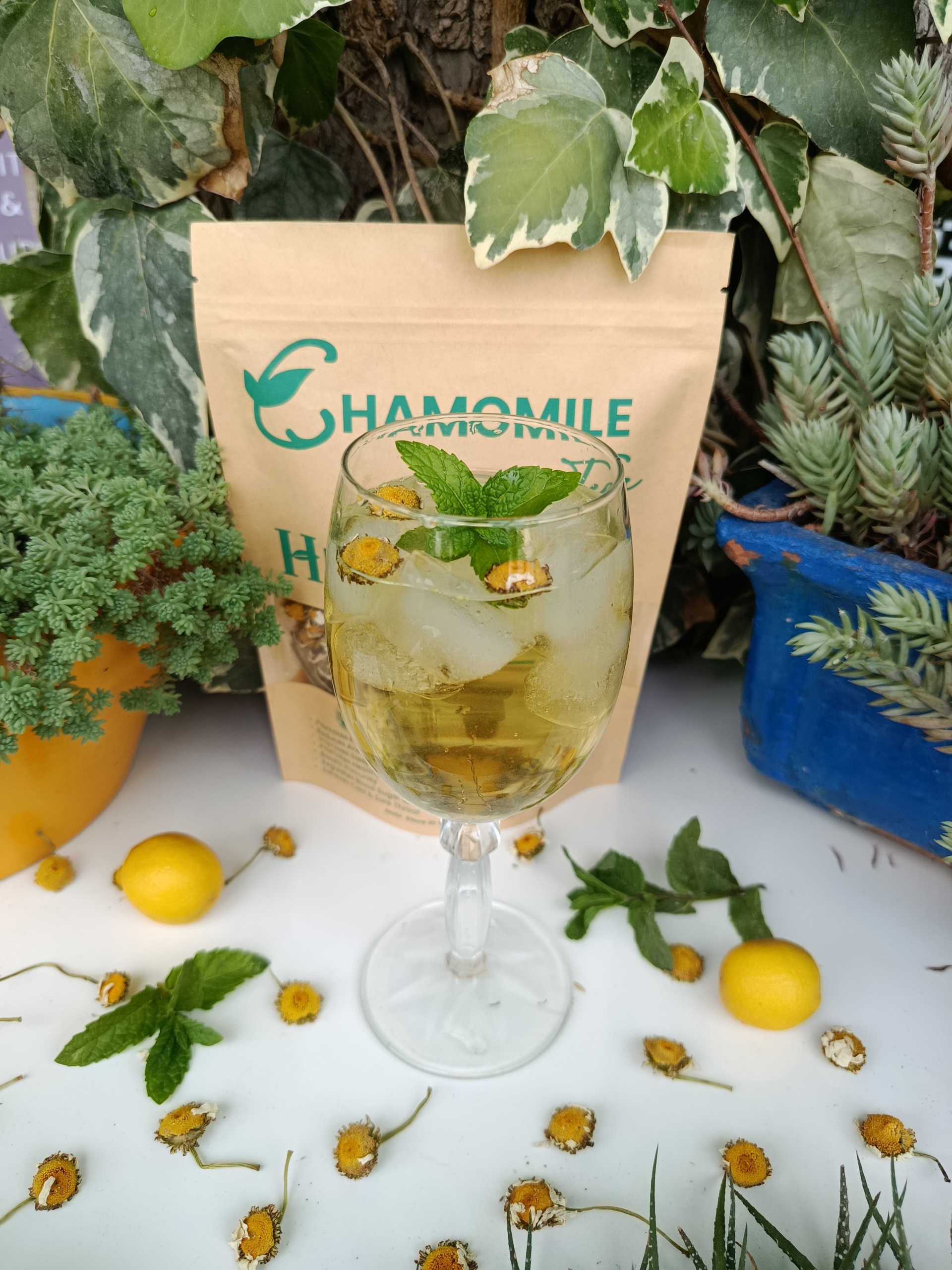 Chamomile Flower Tea - Image 3