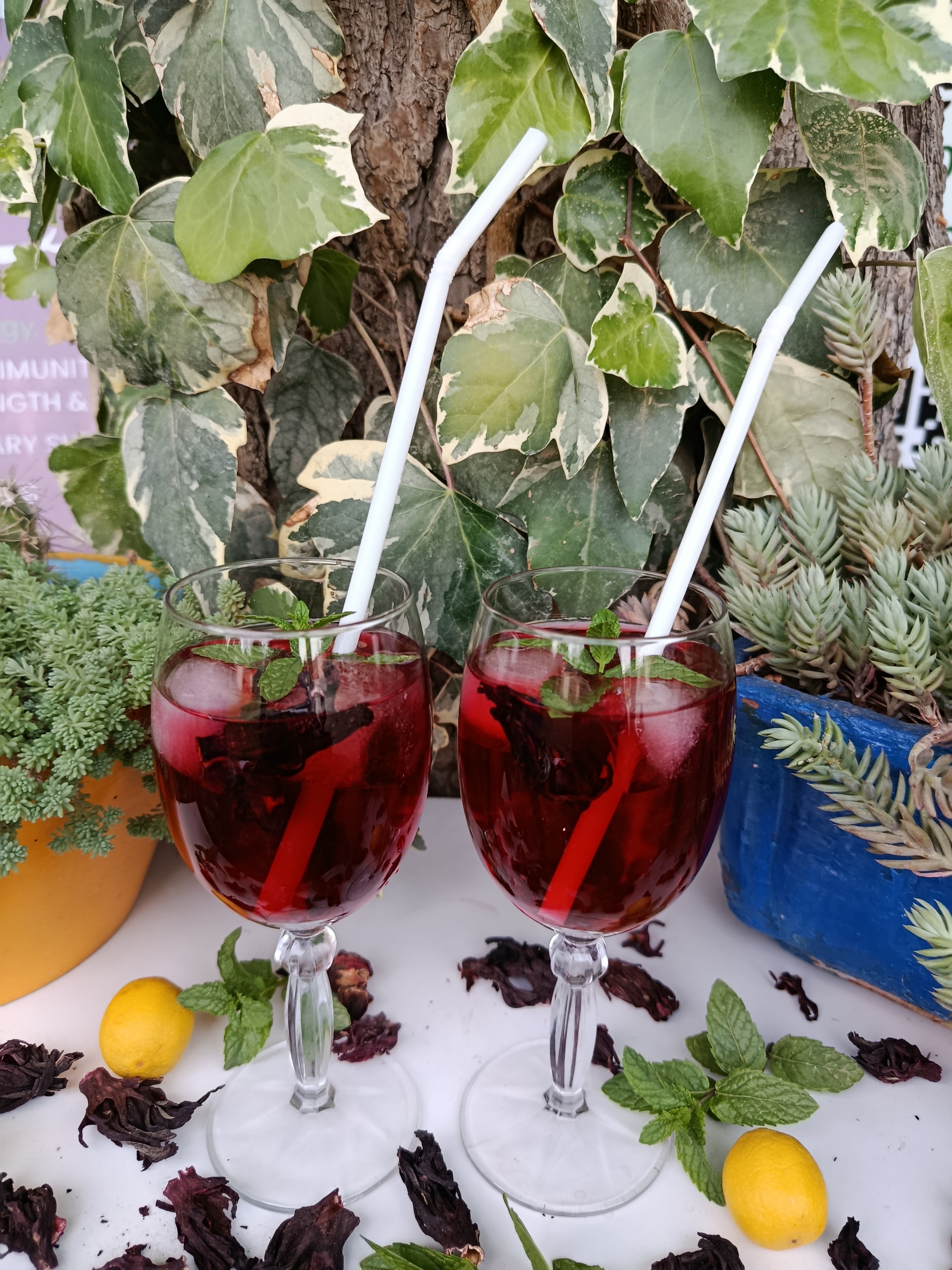 Hibiscus Tea - Image 3